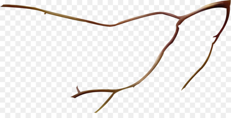 Ветка без фона