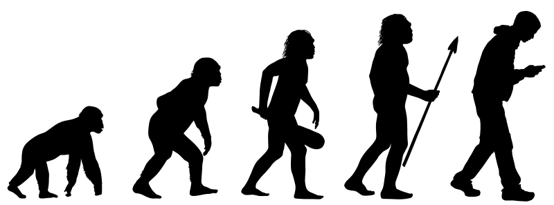 Человек от обезьяны до человека