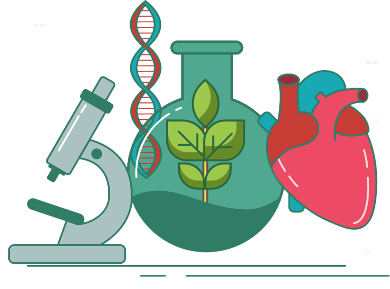 Картинки по биологии