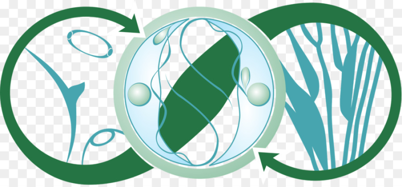 Эмблема биологии