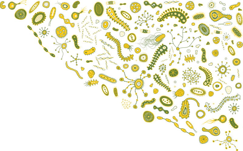Фон по биологии