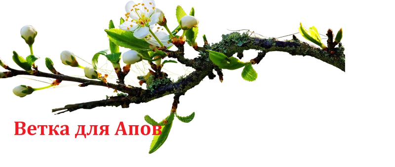 Веточка дерева
