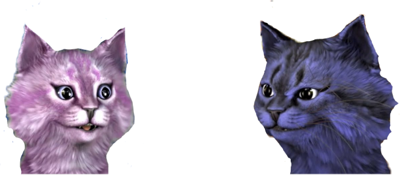 Картинки кошки Ланы