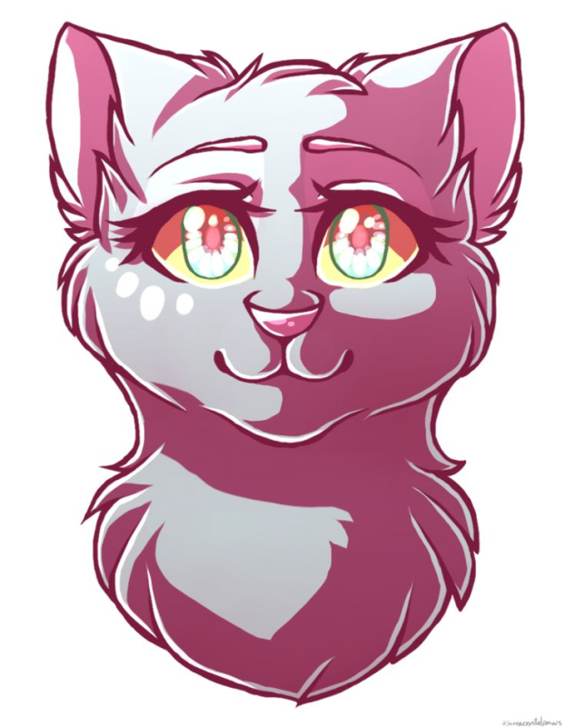 Коты Воители klaracrystalpaws Ласточка