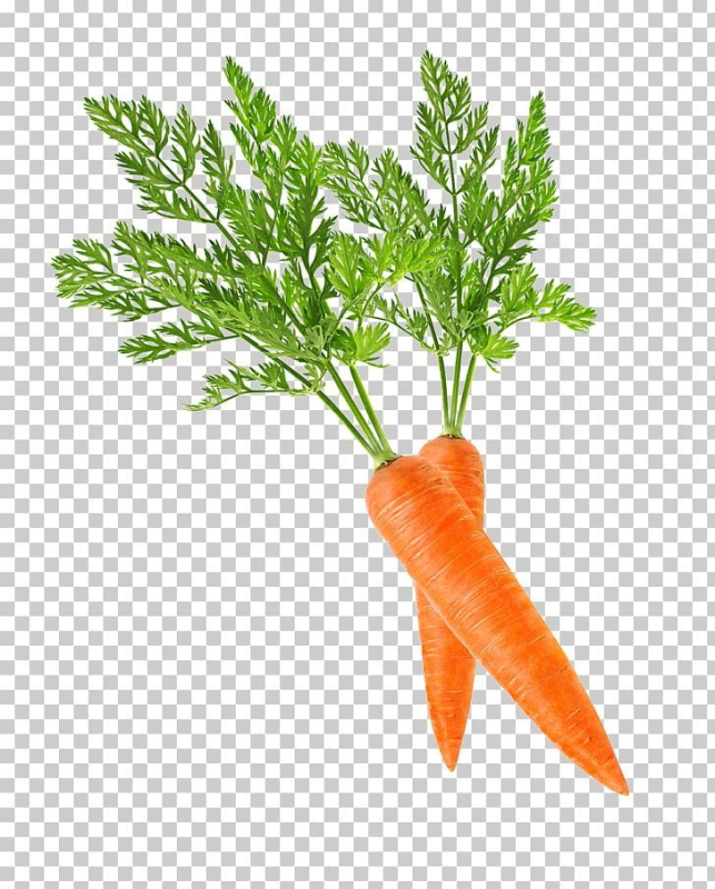 Vjhrjdmна прозрачном фоне