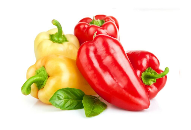 Перца Capsicum annuum