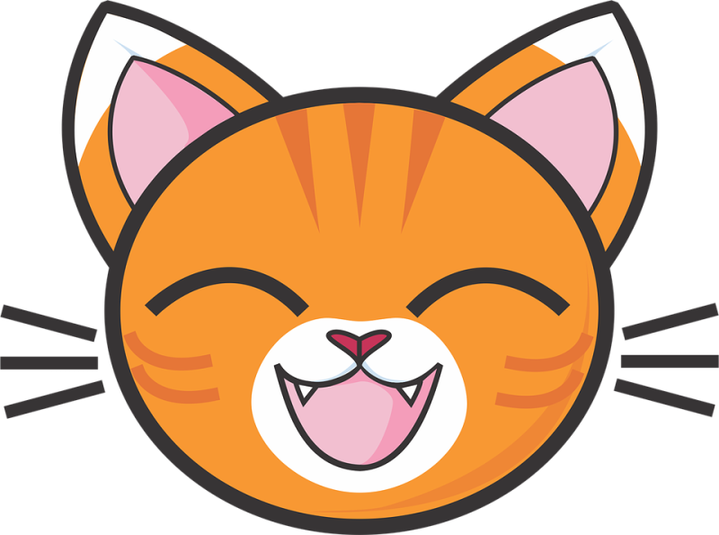 Мордочка кошечки