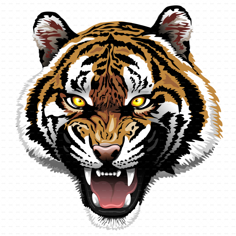 Тайгер тигр