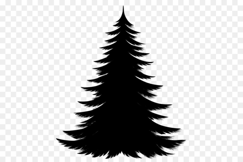 Силуэты елей