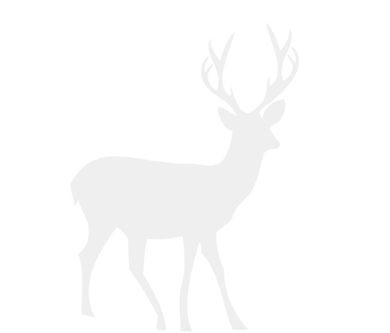 Белый силуэт оленя