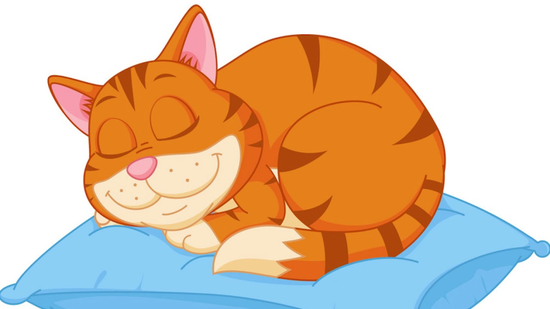 Спящий котик на подушке