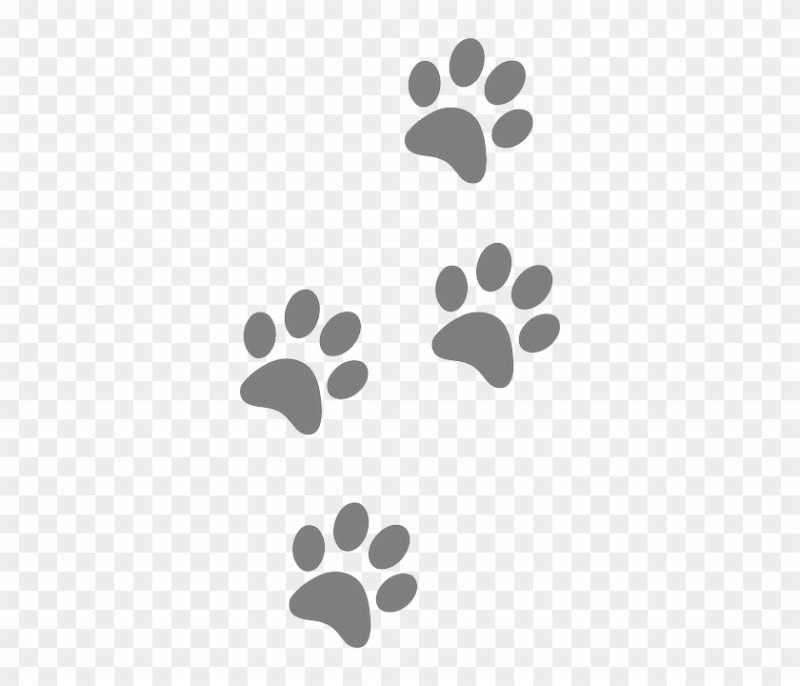 Отпечаток кошачьей лапки