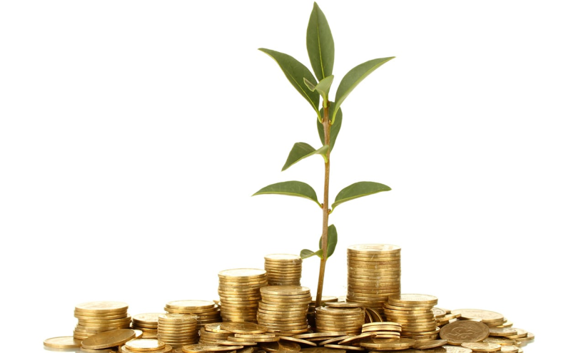 Богатство на белом фоне