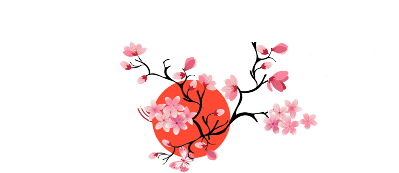 Ветка Сакуры на белом фоне