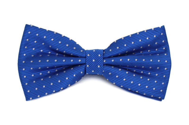 Голубая бабочка мужская