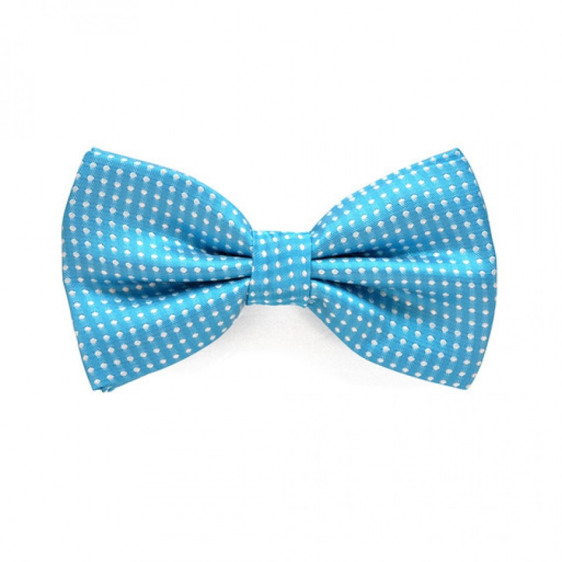 Голубая бабочка мужская