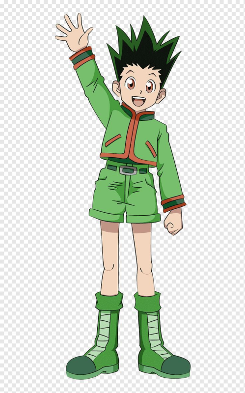 Hunter x Hunter Гон Фрикс