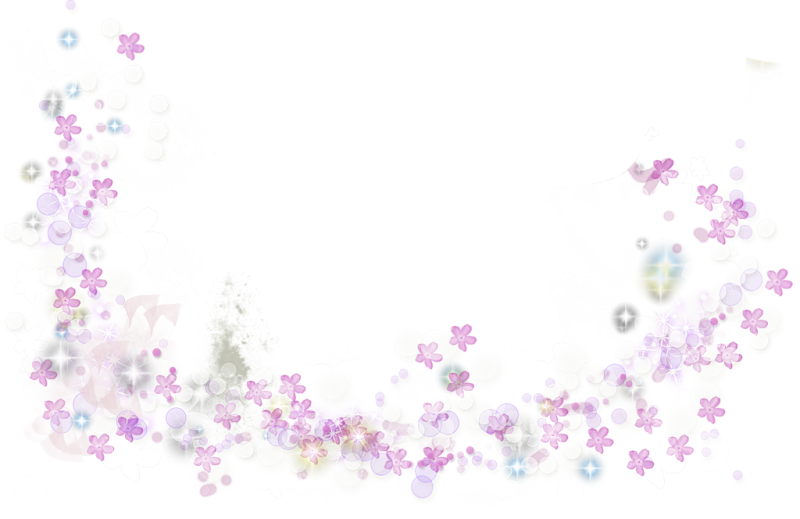 Россыпь цветов на прозрачном фоне