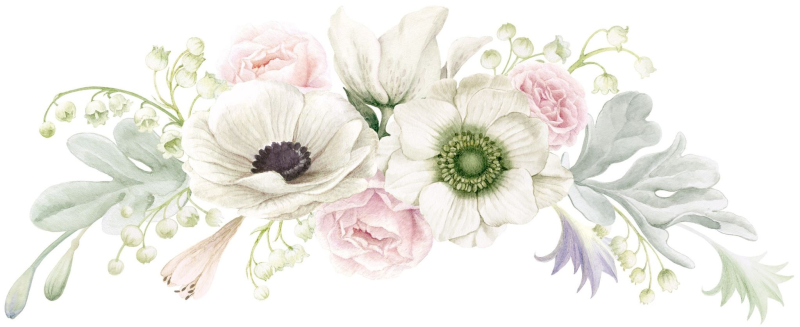 Акварельные цветы на прозрачном фоне