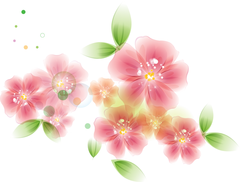 Цветы без фона