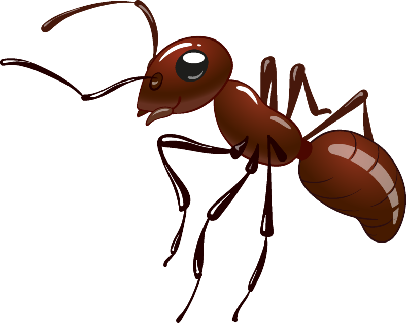 Ant для детей