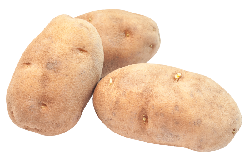 Картофель 'Russet Burbank'