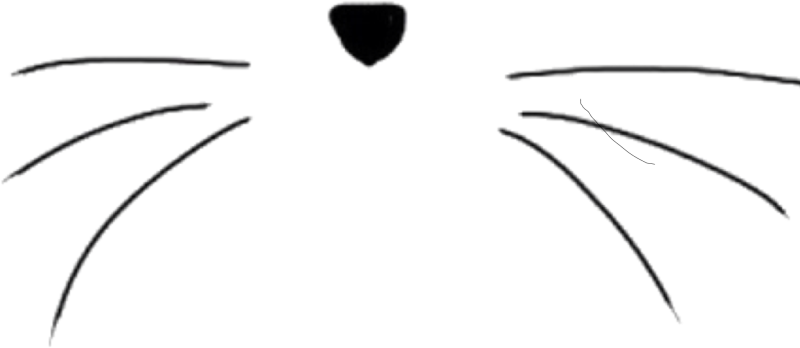 Кошачьи ушки и усики