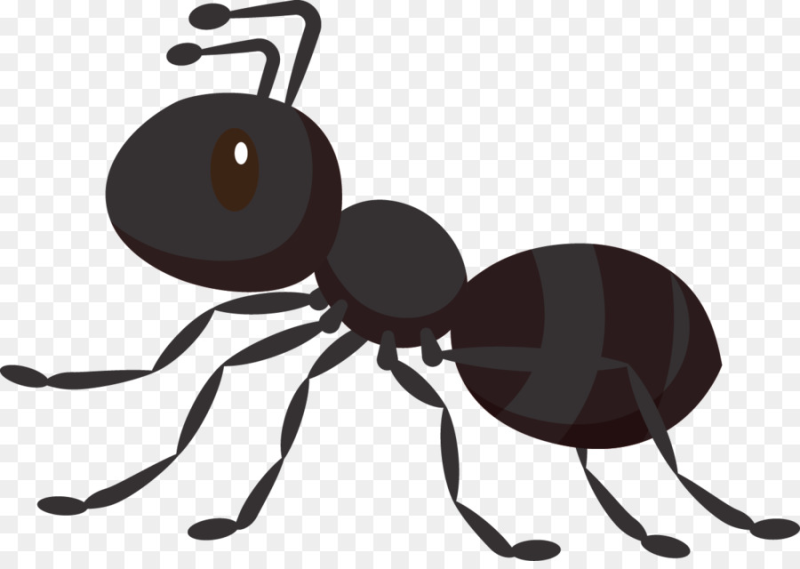 Муравей рисунок