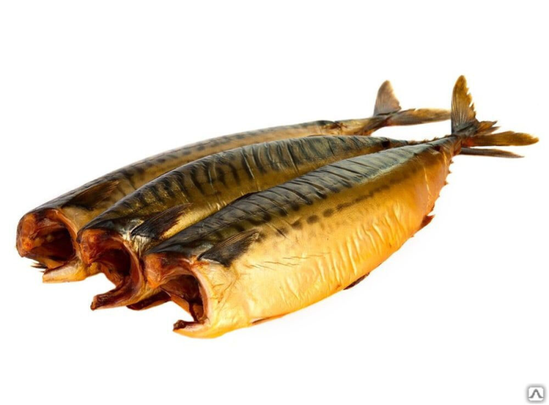 Рыба скумбрия холодного к