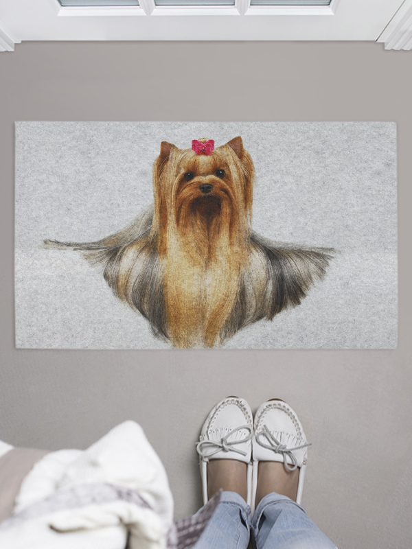 Шокомерле Йоркширский терьер