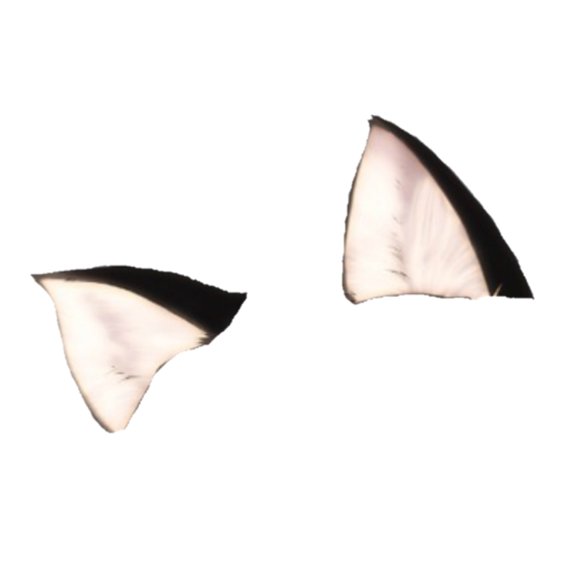 Аниме уши кошки