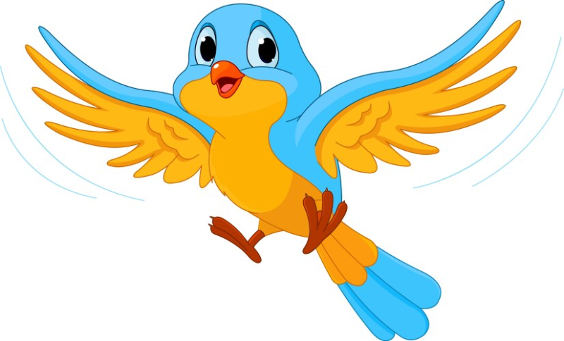 Птички картинки для детей