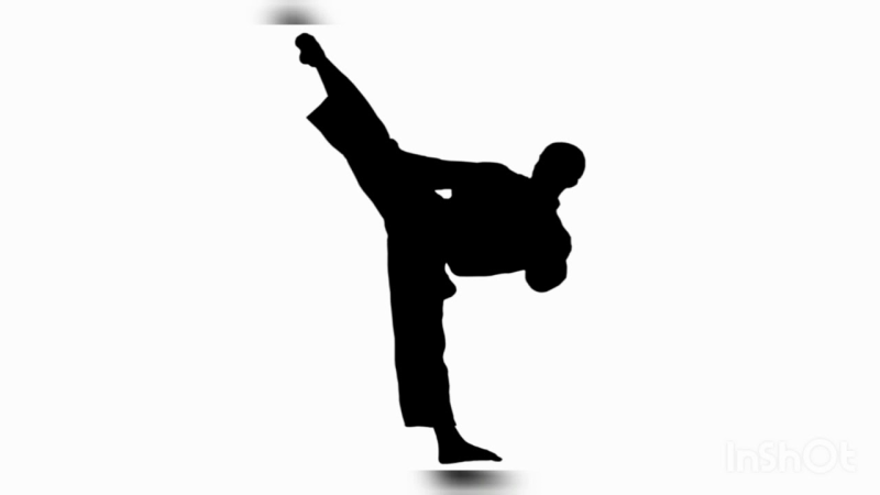 Каратист силуэт