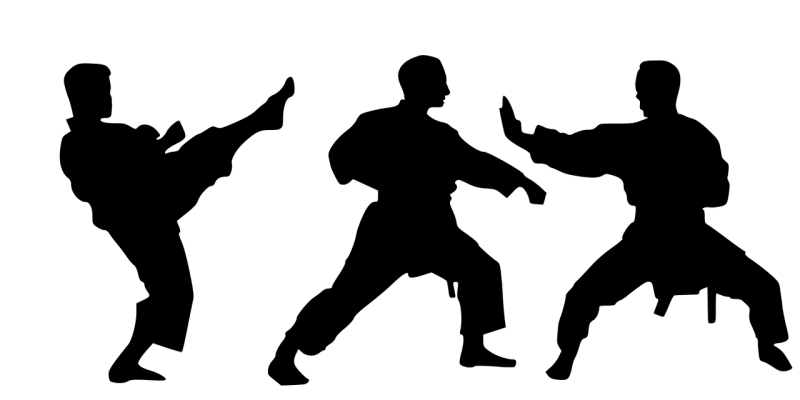 Каратэ киокушинкай вектор