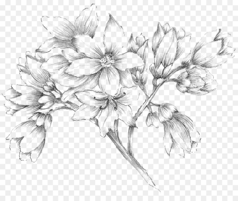 Цветы Графика