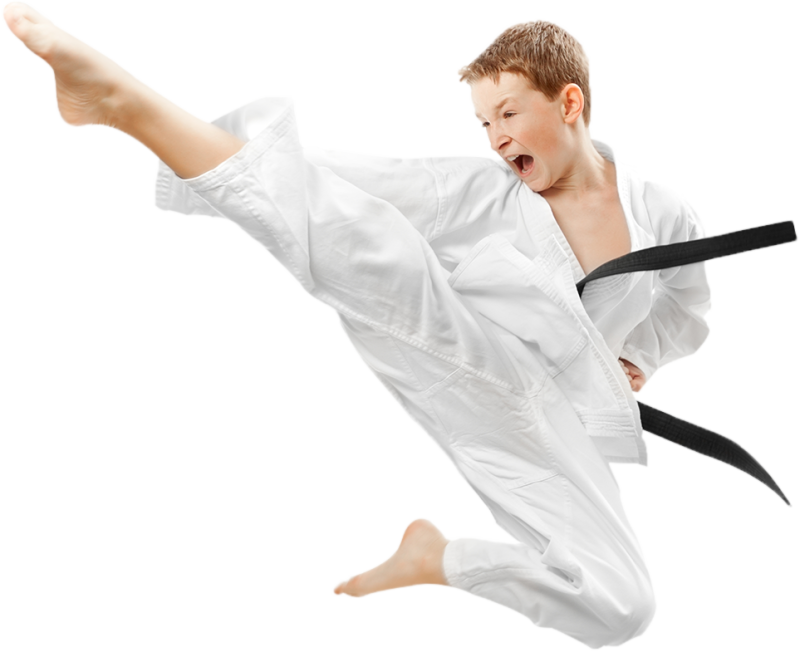 Каратист на прозрачном фоне