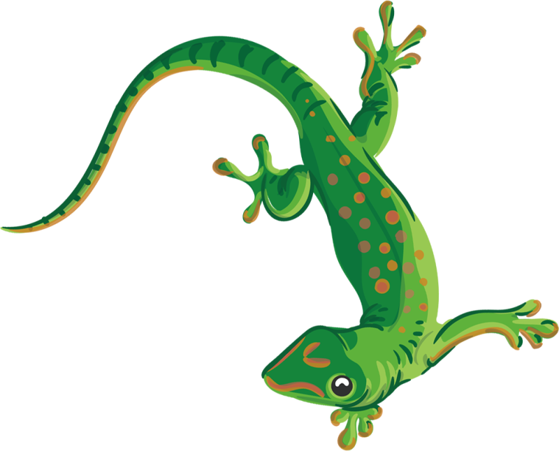 Ящерица для детей