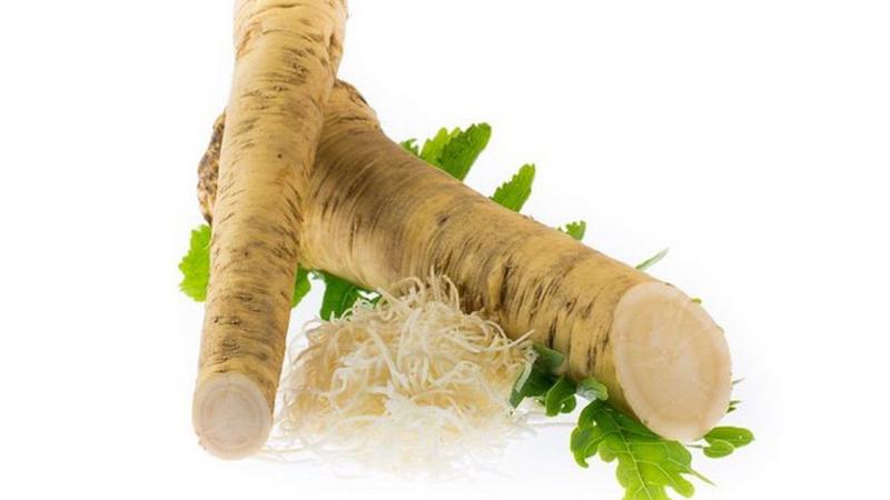 Корень хрена на белом фоне