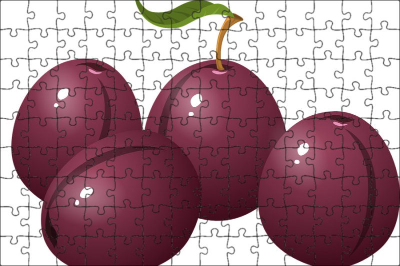 Слива вектор