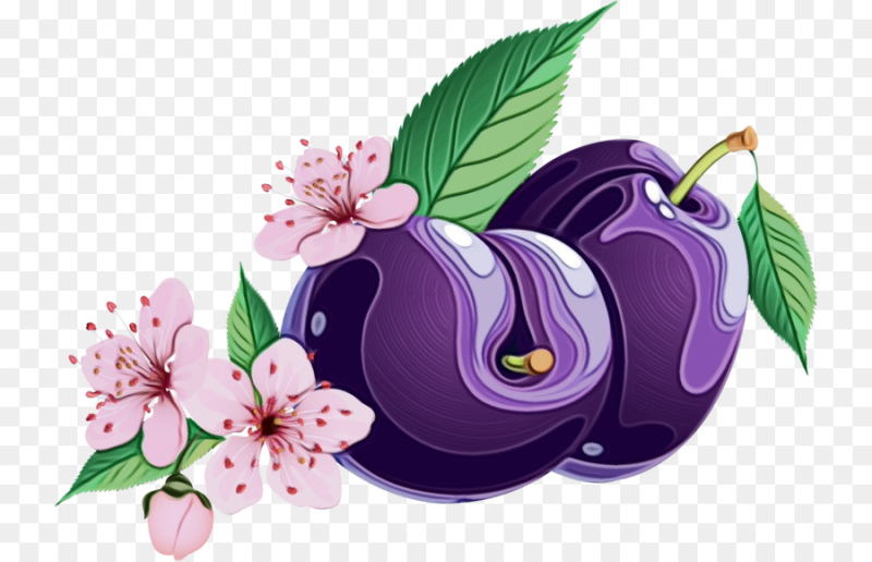 Слива мультяшное