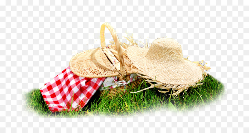 Пикник на белом фоне