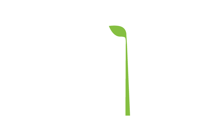 Стебель цветка