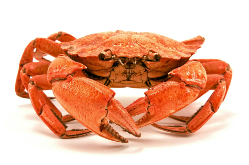 Краб Камчатский