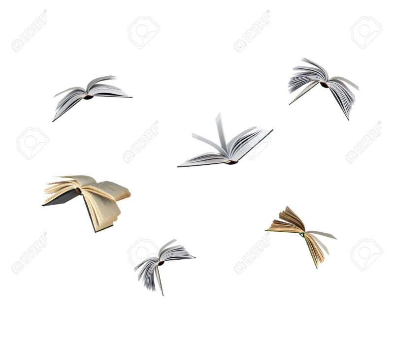 Книга в полете