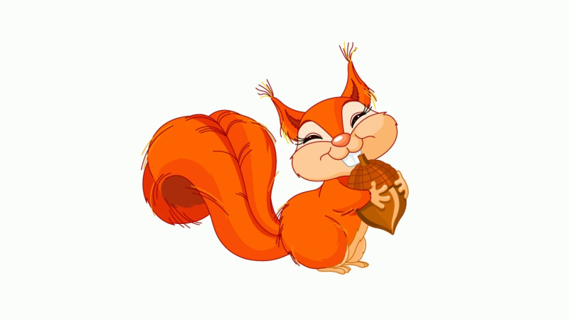 Белка для детей