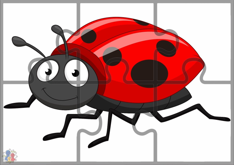 Букашка на белом фоне