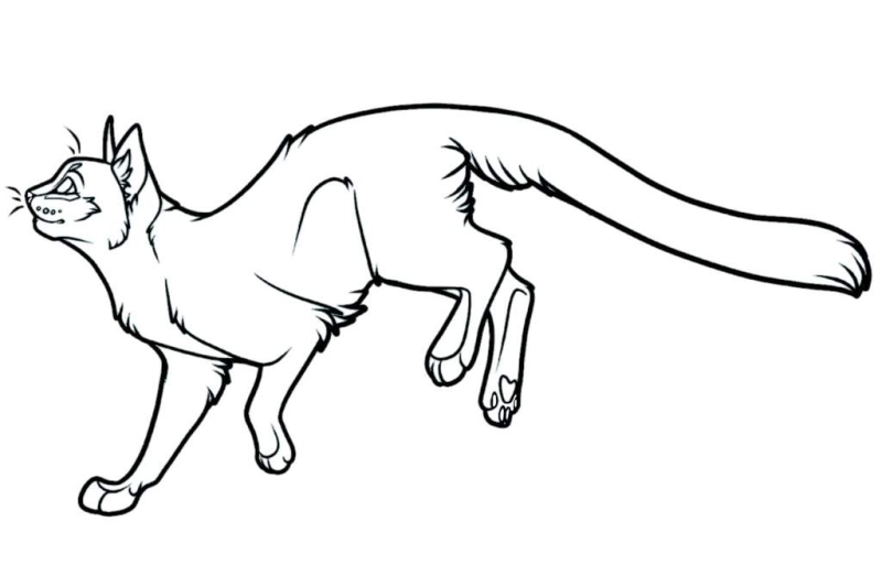 Коты Воители лайн кошка