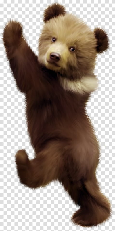 Медведь для детей на прозрачном фоне