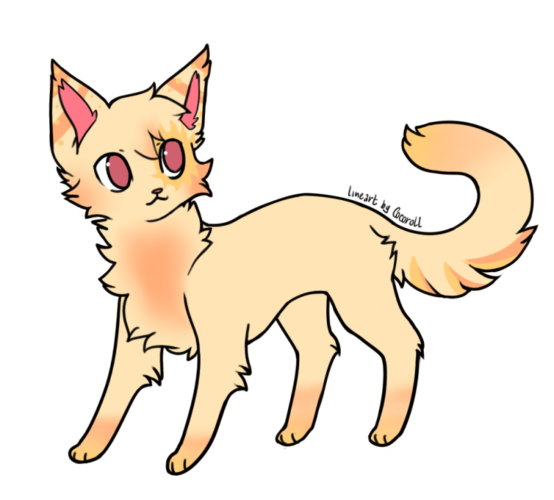 Лайны котов