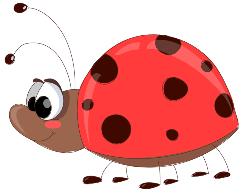 Божья коровка на прозрачном фоне